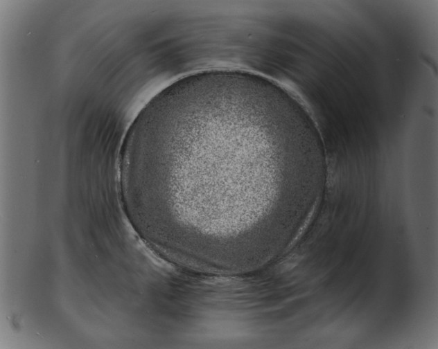 X0000103241287200809111548