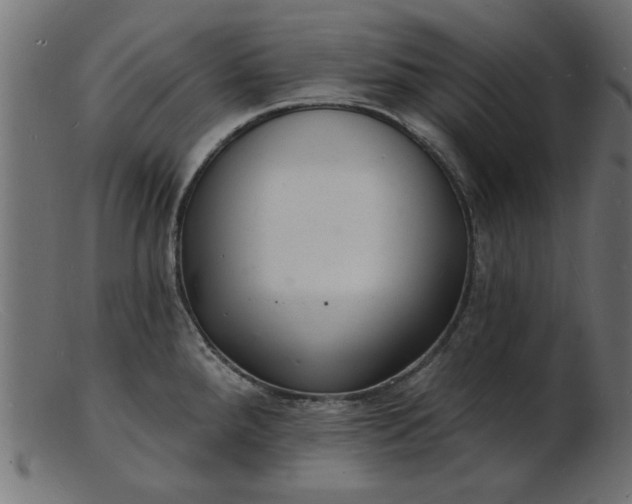 X0000103241288200809111548