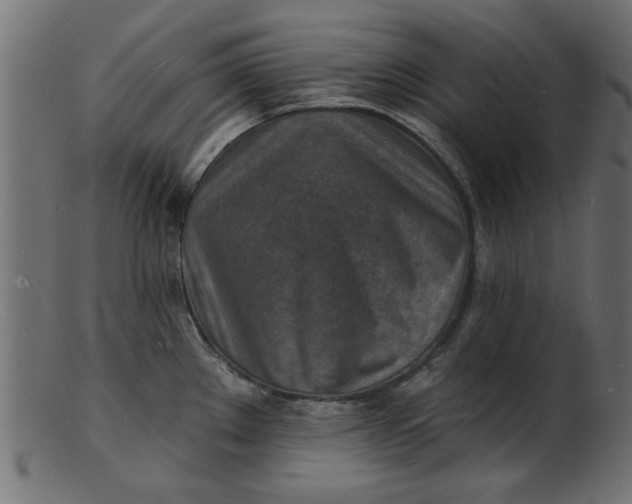 X0000103241289200809111548