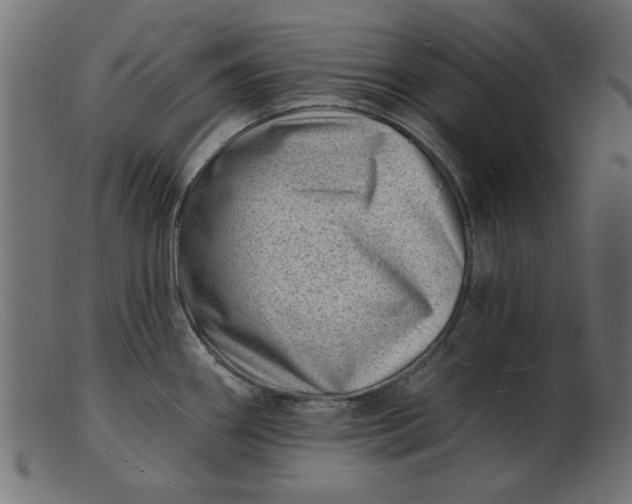 X0000103241290200809111548