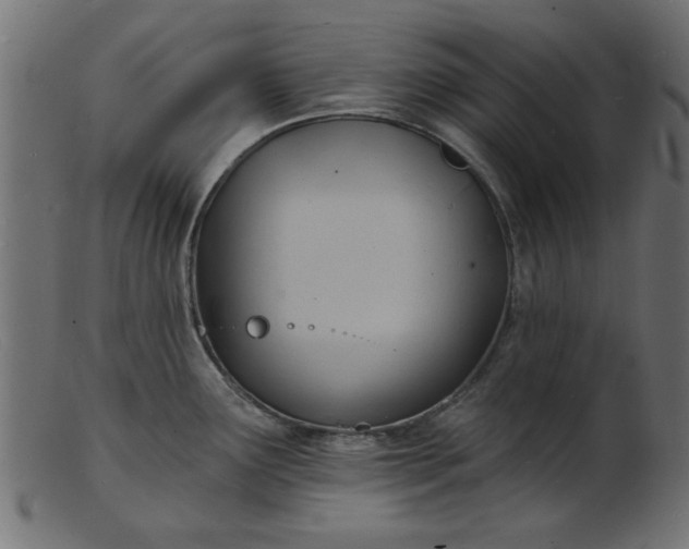 X0000103241291200809111548