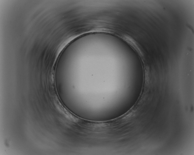 X0000103241292200809111548