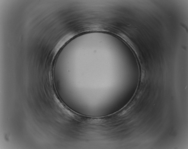 X0000103241293200809111548