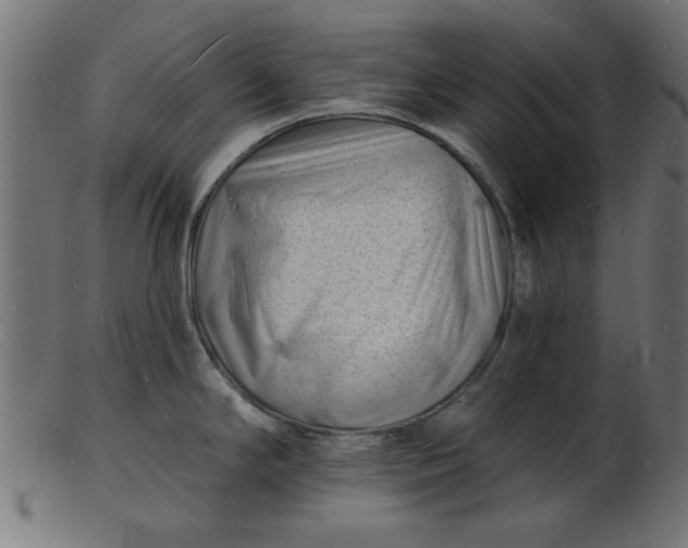 X0000103241294200809111548