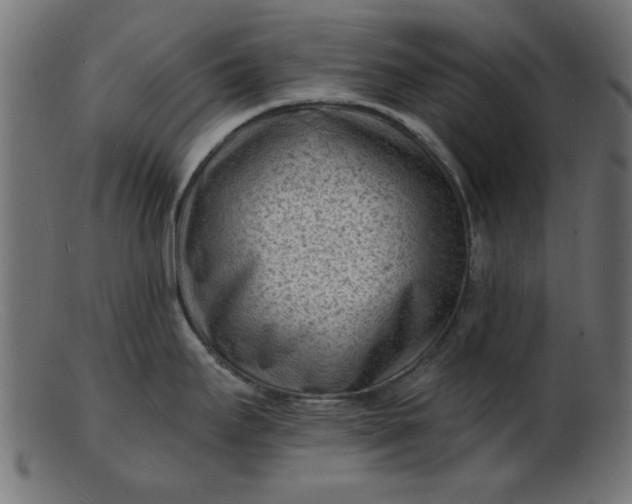 X0000103241295200809111548