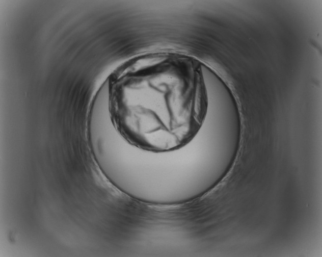 X0000103241296200809111548