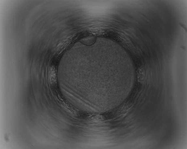 X0000103241298200809111547