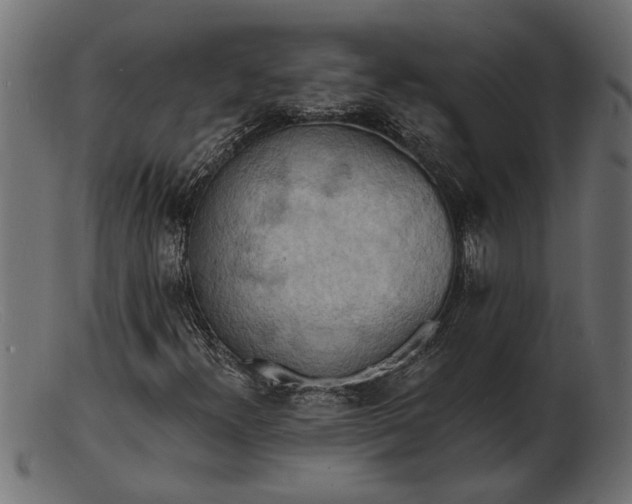 X0000103241300200809111547