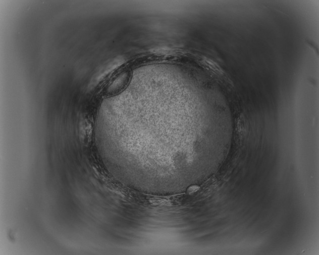 X0000103241302200809111547