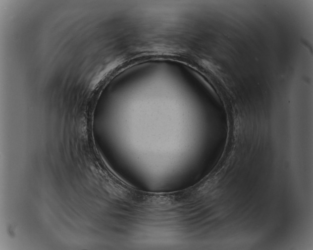 X0000103241307200809111547