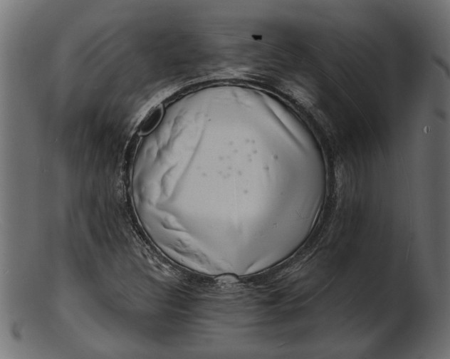 X0000103241308200809111547