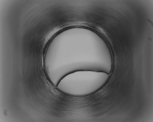 X0000103241320200809111547