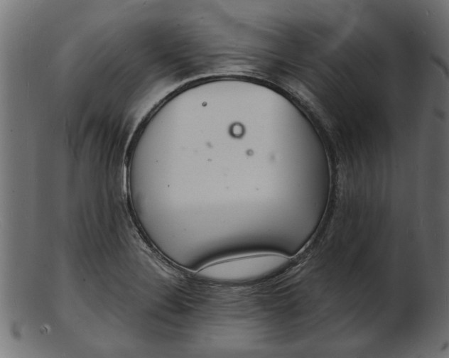 X0000103241324200809111548