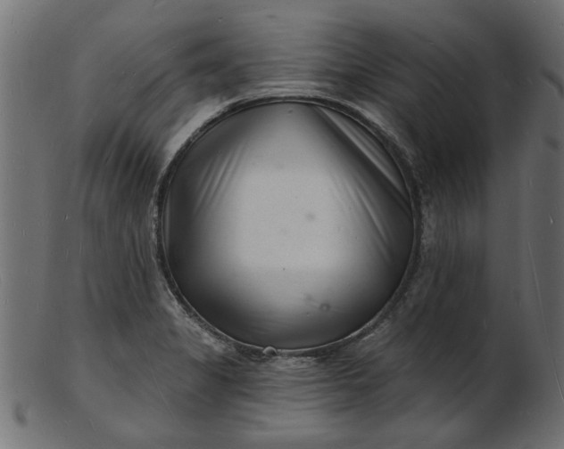 X0000103241325200809111548