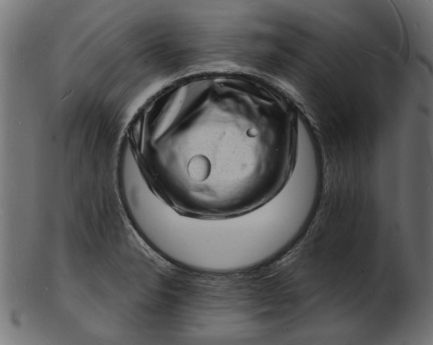 X0000103241326200809111548