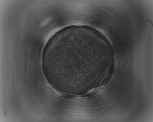 X0000103241327200809111548