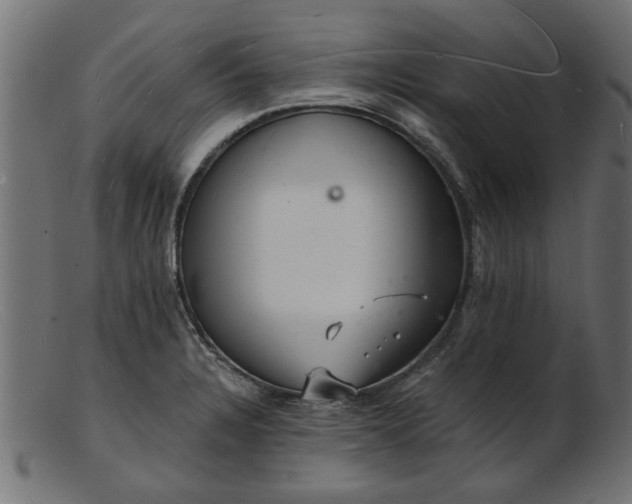 X0000103241328200809111548