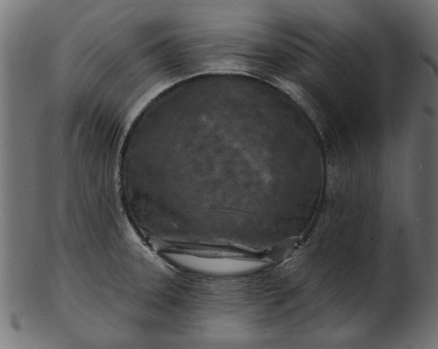 X0000103241331200809111548