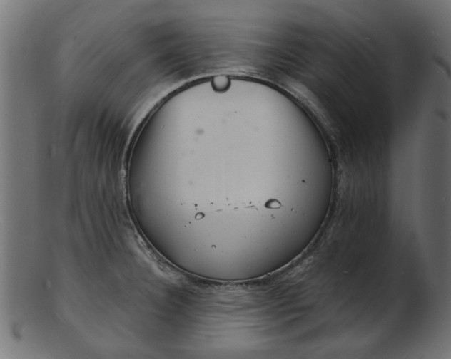 X0000103241332200809111548