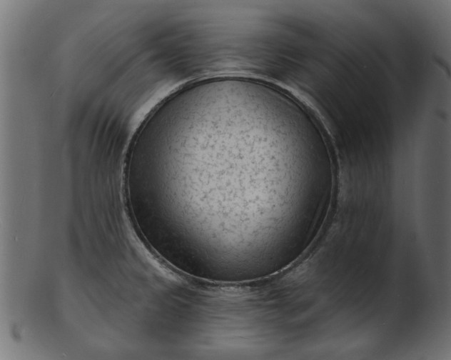 X0000103241333200809111548