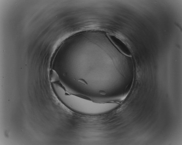 X0000103241334200809111548