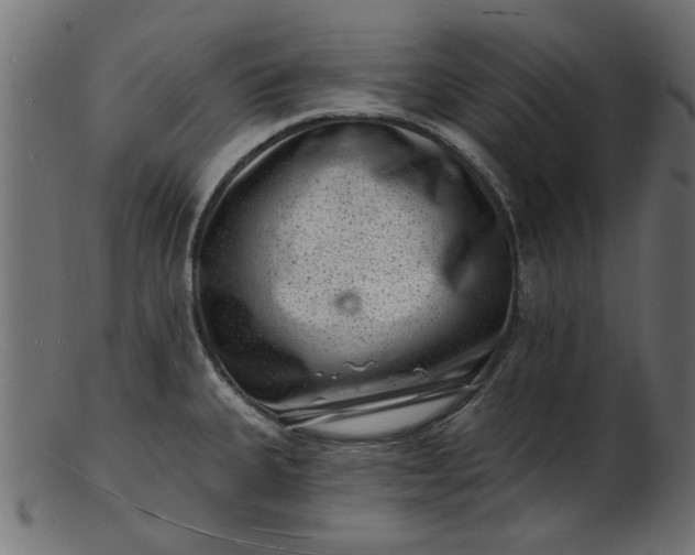 X0000103241335200809111548