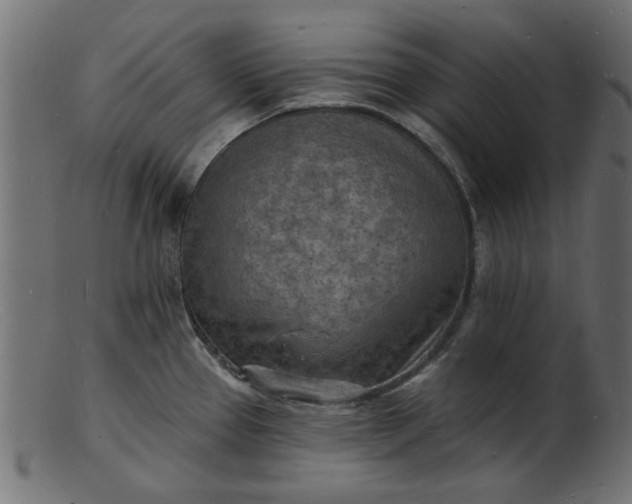 X0000103241337200809111548