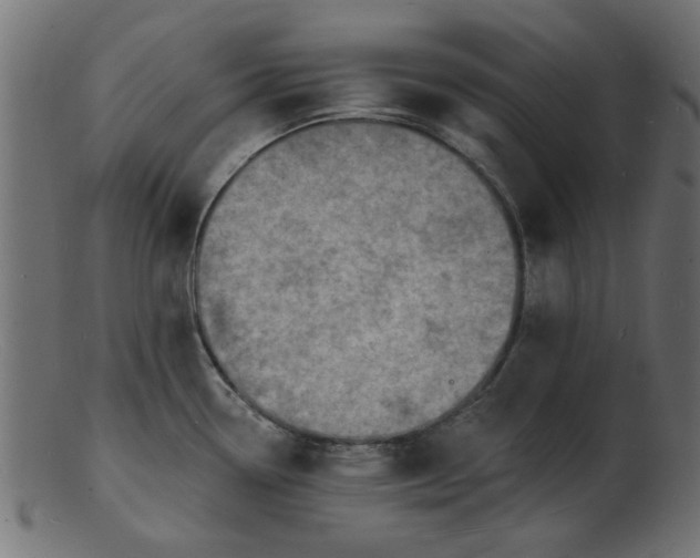 X0000103241338200809111548