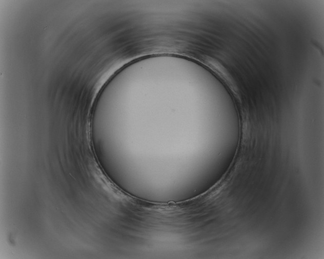 X0000103241340200809111548