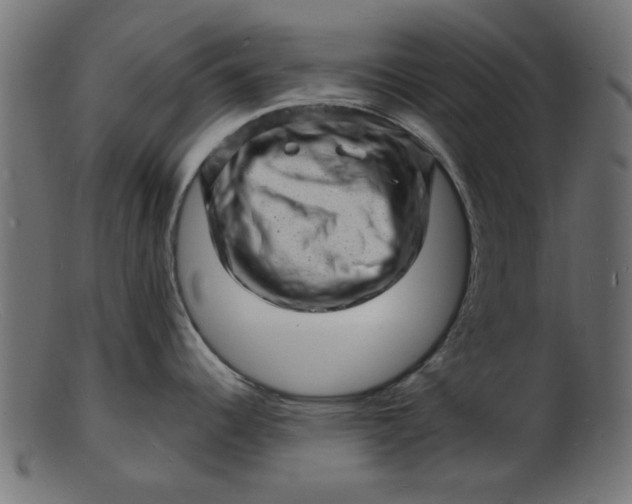 X0000103241344200809111548