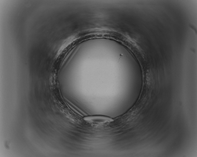 X0000103241352200809111547