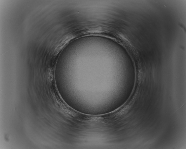 X0000103241353200809111547