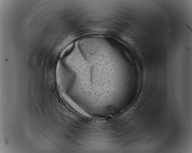 X0000103241354200809111547