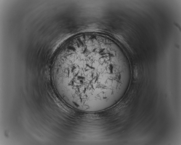 X0000103241356200809111547