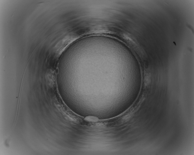 X0000103241361200809111547