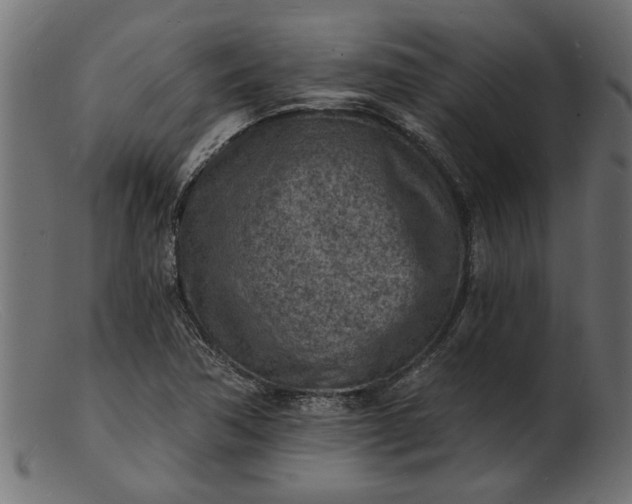 X0000103241362200809111547