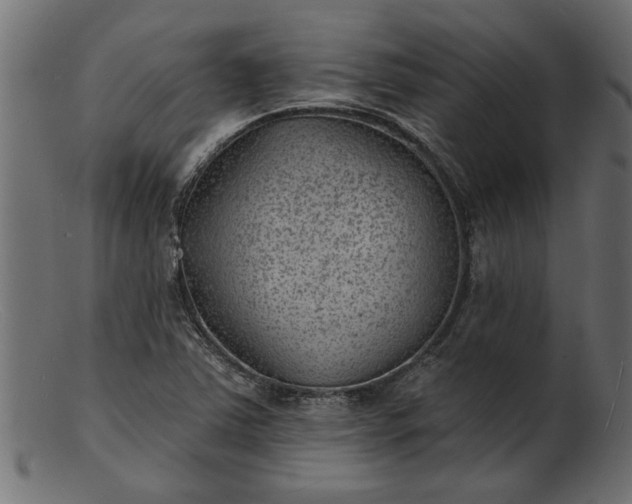 X0000103241363200809111547