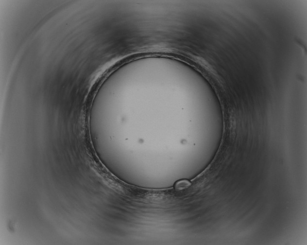 X0000103241364200809111547