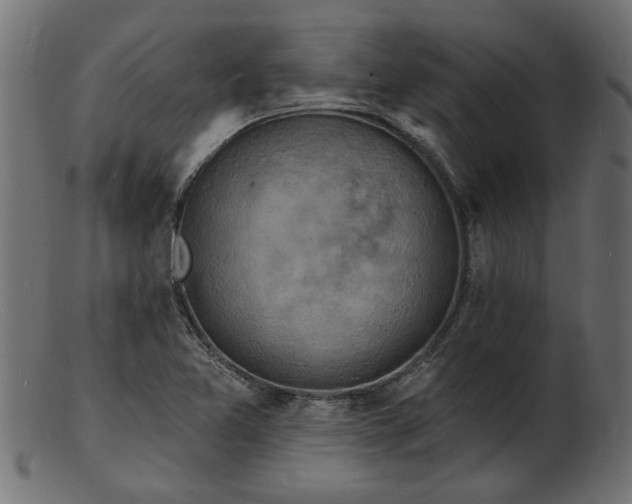 X0000103241365200809111547