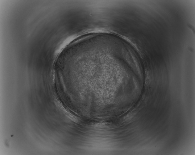 X0000103241367200809111547