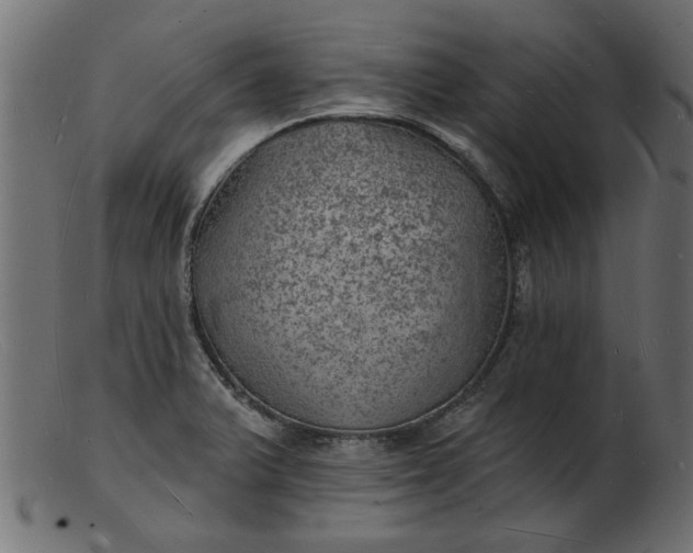 X0000103241375200809111547