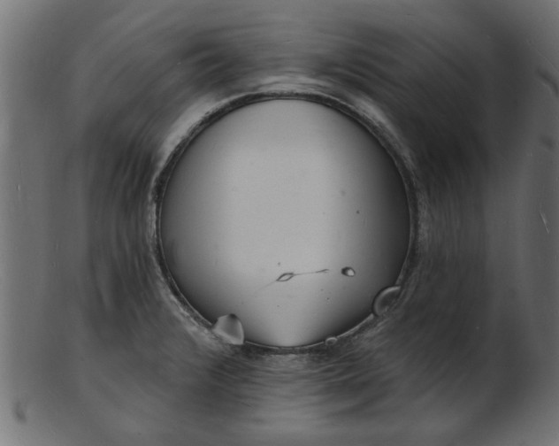 X0000103241376200809111547