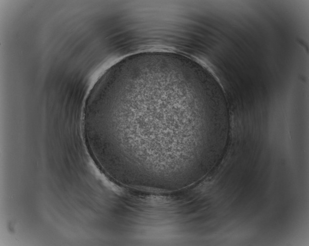 X0000103241379200809111547