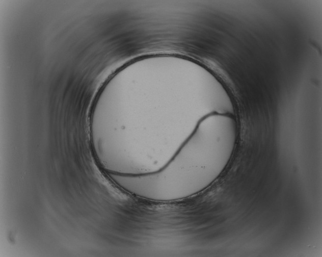 X0000103241380200809111547