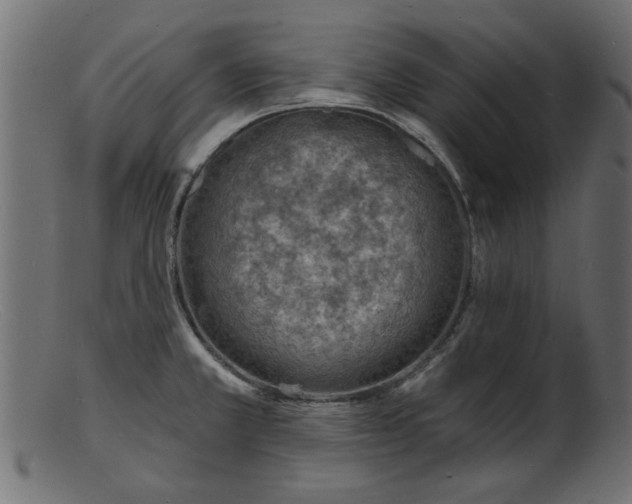 X0000103241381200809111547