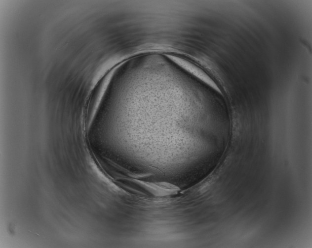 X0000103241382200809111547