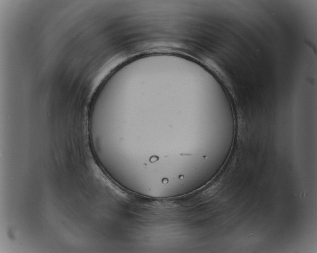 X0000103241384200809111547