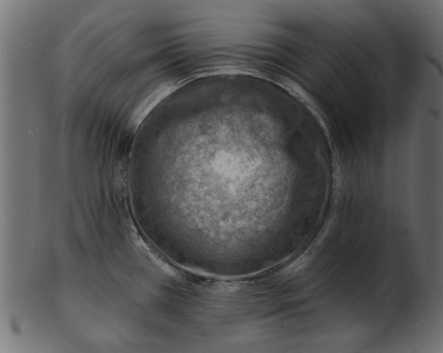 X0000103241385200809111547