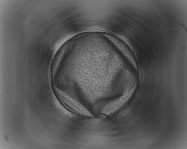 X0000103241387200809111547