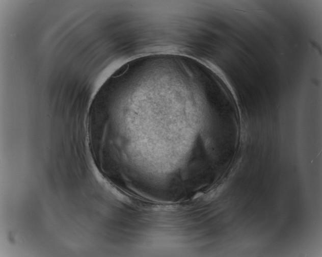 X0000103241389200809111547